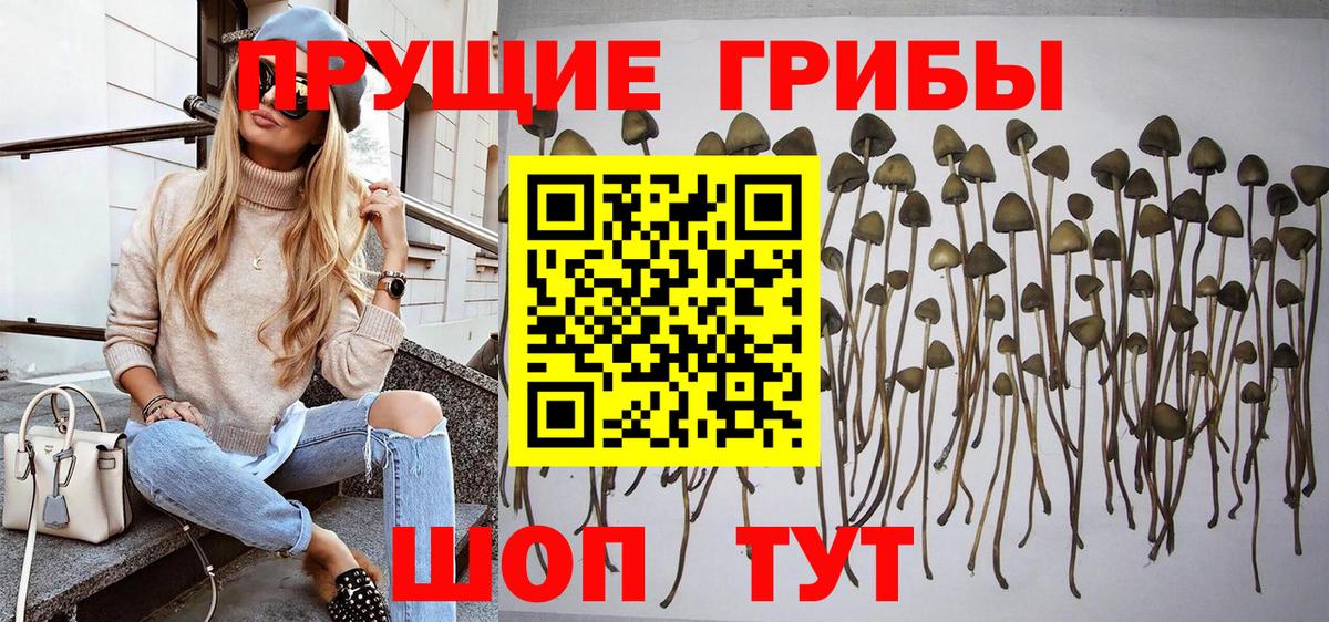 Саранск  Галлюциногенные грибы мухоморы  Вход с VPN 