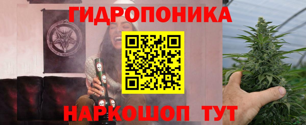 Шишки марихуана семена  Бошки Шишки Bruce Banner  Саранск  Вход с VPN  Бошки Шишки AK-47 